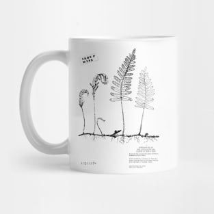 Iron & Wine Resurrection Fern Mug